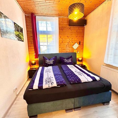 Ferienhaus Zur Abzuchtinsel Goslar Eksteriør bilde