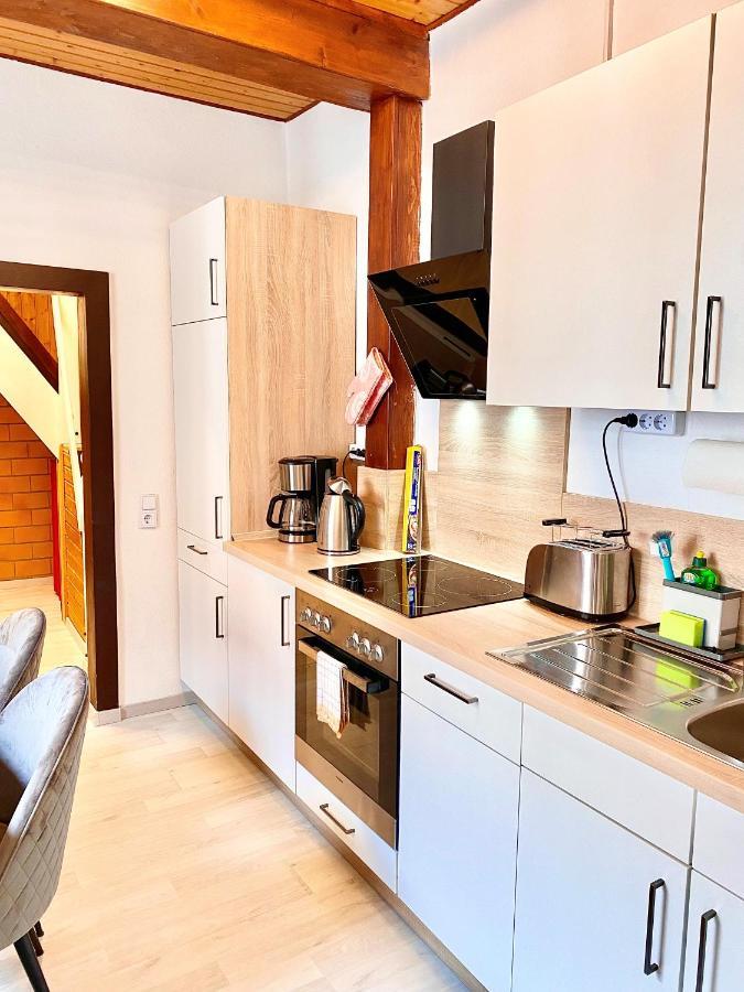 Ferienhaus Zur Abzuchtinsel Goslar Eksteriør bilde
